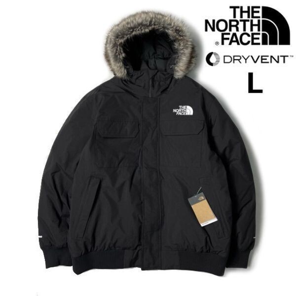 売切り【正規新品】THE NORTH FACE◆MCMURDO BOMBER JACKET◆マクマードボンバー ダウンジャケット US限定 新作 撥水(L)黒 190122-175拍卖