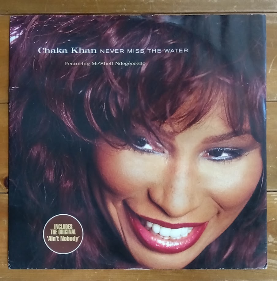 CHAKA KHAN - Never Miss The Water拍卖