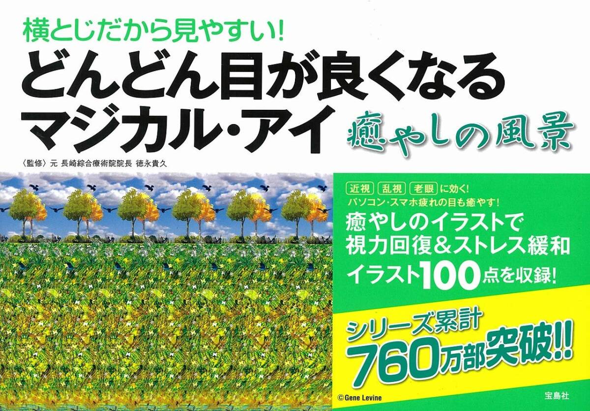 横とじだから見やすい! どんどん目が良くなるマジカル・アイ 癒やしの風景拍卖
