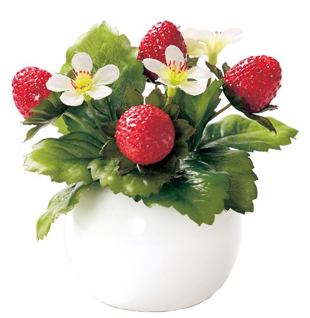 フルタック(Fultac) 光触媒 消臭 抗菌 防カビ フェイクグリーン ラウンドポット ストロベリー インテリア グリーン 造花 観葉植物 1拍卖