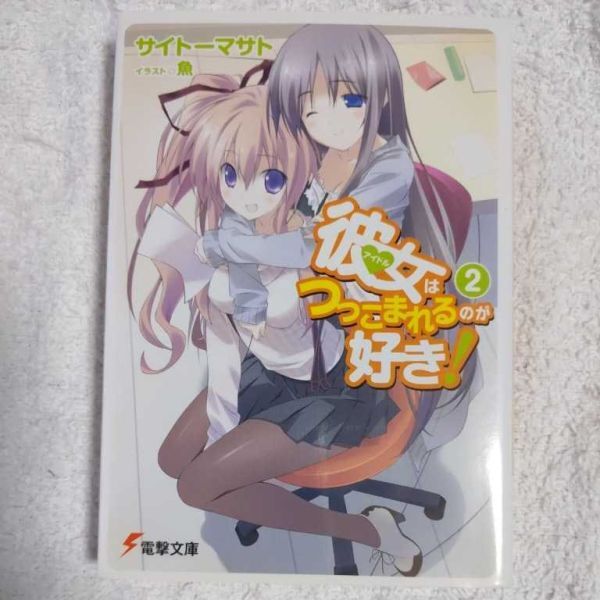 彼女(アイドル)はつっこまれるのが好き!〈2〉 (電撃文庫) サイトー マサト 魚 9784048700474拍卖