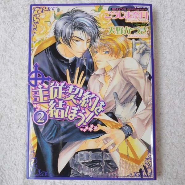 主従契約を結ぼう!2 (角川ルビー文庫) 天野 かづき こうじま 奈月 9784044494124拍卖