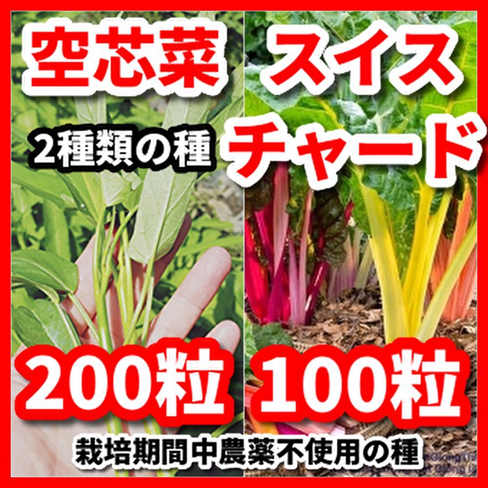 空芯菜&スイスチャードの2種類の種セット★令和6年産★栽培期間中農薬不使用の種拍卖