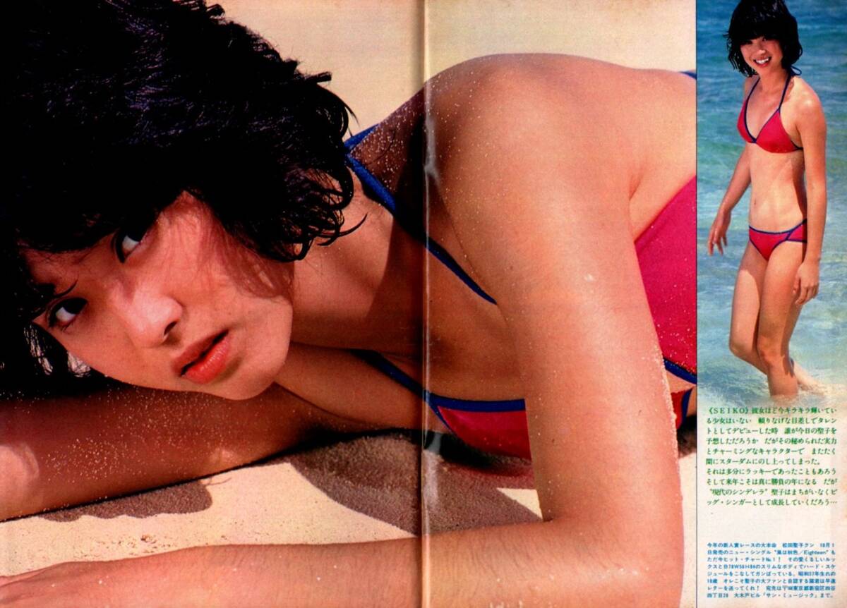 s3856 プレイボーイ 1980年 昭和55年 松田聖子 三原順子 田中好子 原田美枝子 岡崎聡子 ナスターシャキンスキー 安西エリ マックィーン拍卖