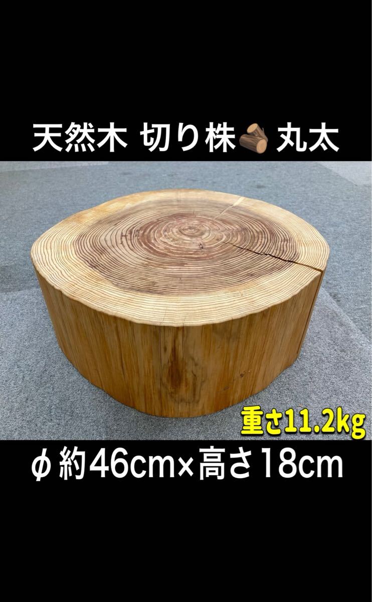 堀) 天然木 切り株 丸太 φ46×高さ18cm 輪切り丸太 スツール ディスプレイ台 インテリア 花台 丸太台 土台 薪割り台 (250826 台)拍卖