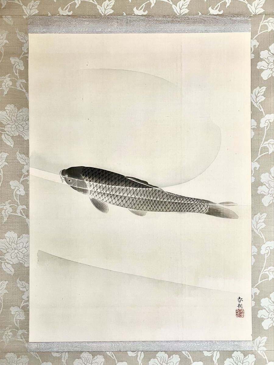 【真作】【S8】中尾春朝「鯉」絹本 肉筆 合箱 大幅 夏景 花鳥図 鳥獣 納涼 日本画 絵画 掛軸拍卖