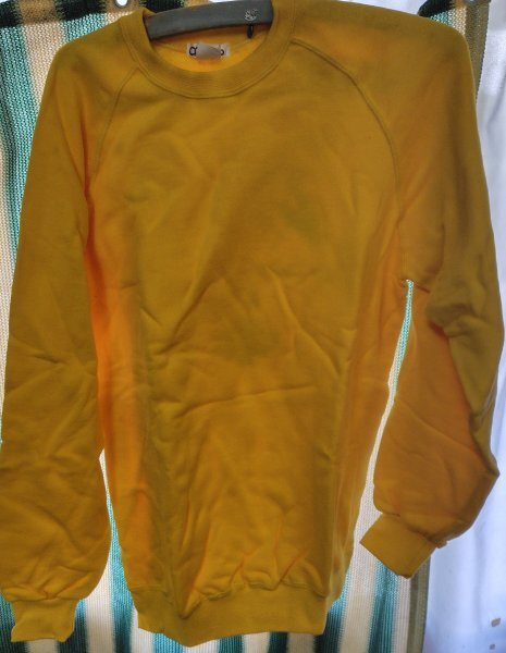 (0-1764) ハーレーダビッドソントレーナー 鉄馬(未使用)LLサイズ拍卖