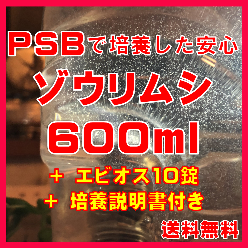 ★送料無料★PSBで培養したゾウリムシ種水600ml+エビオス10錠+培養説明書 メダカの針子、稚魚、幼魚、越冬中にも安心。拍卖