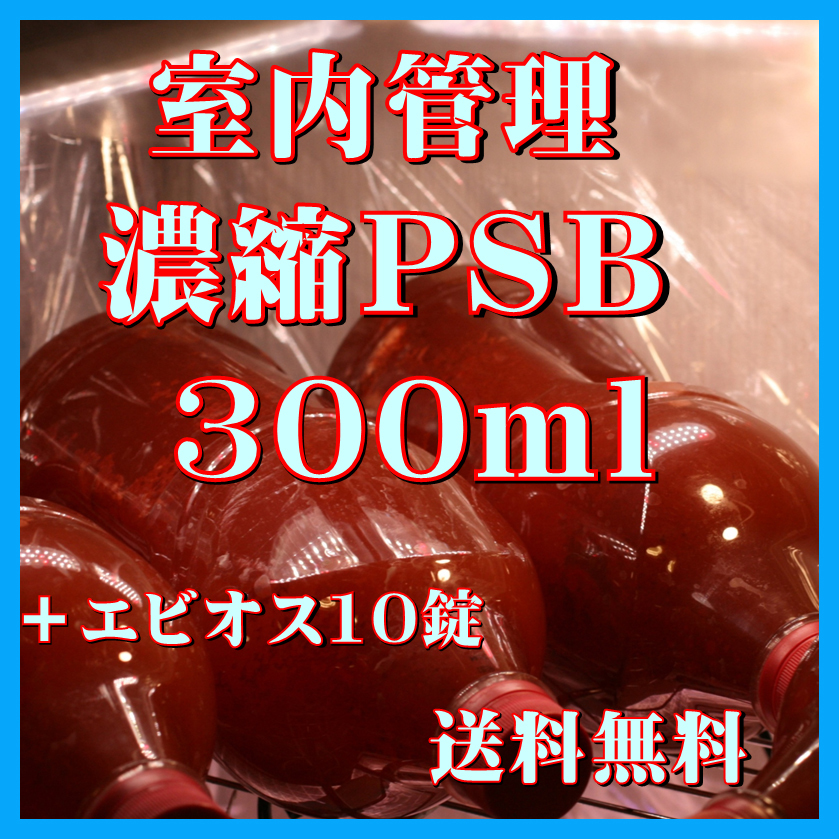 ★送料無料★ 室内管理濃縮培養PSB300ml+エビオス10錠 光合成細菌 水質調整、バクテリア、めだか・金魚・熱帯魚などに最適。拍卖
