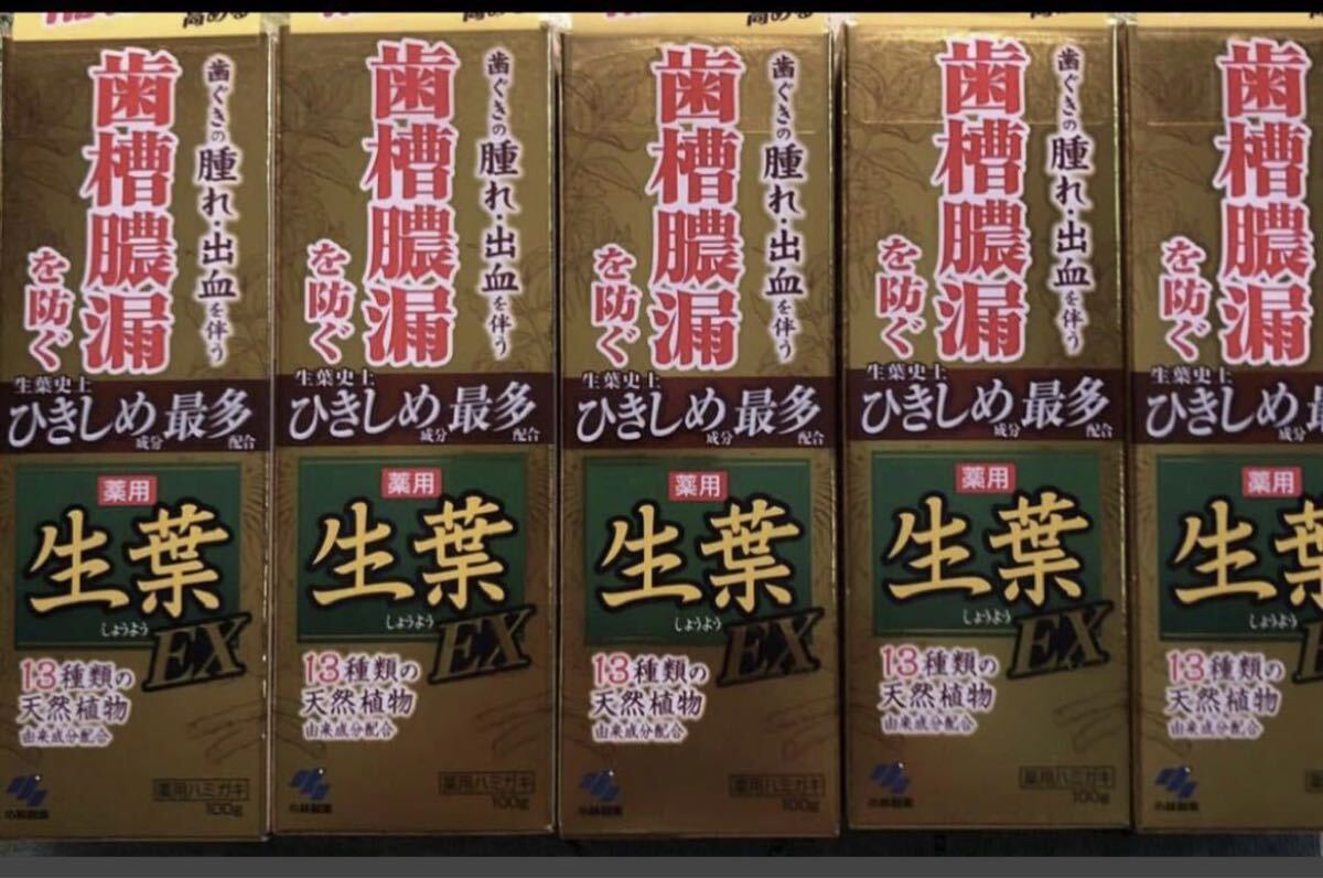 生葉EX 歯槽膿漏を防ぐ 100g5本セット 送料600円拍卖