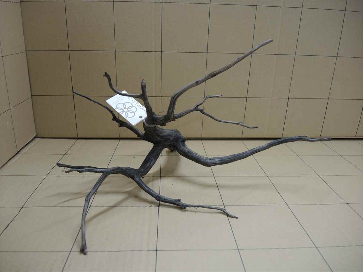 *iwoya*黒枝流木8007拍卖