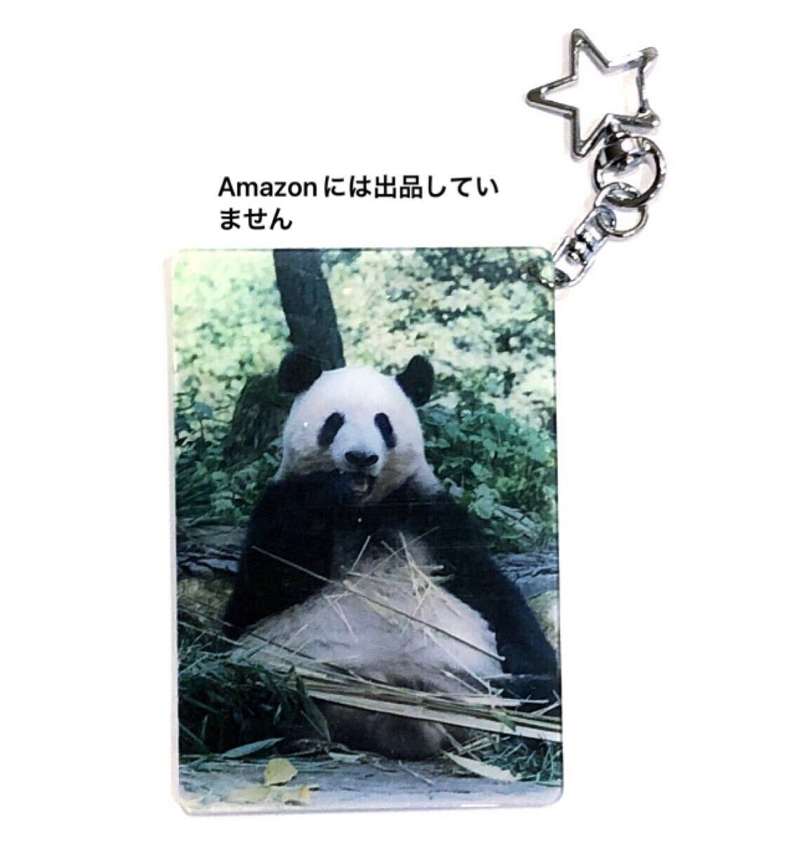 日本未発売 シャンシャン両面星型キーチャーン付きアクリルキーホルダー ジャイアントパンダ拍卖