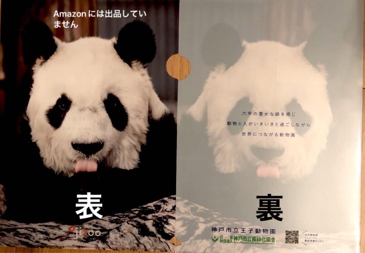 ☆非売品☆王子動物園 サポーター特典 タンタンクリアファイル 神戸市公園緑化協会 ジャイアントパンダ拍卖