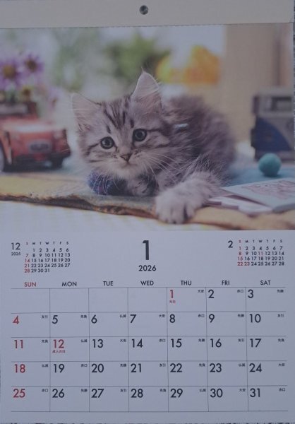 【送料無料:1冊 可愛い 「子猫」 カレンダー:B4 37x26cm】★2026年:猫 ねこ ネコ 仔猫★12か月・12面 令和8年拍卖