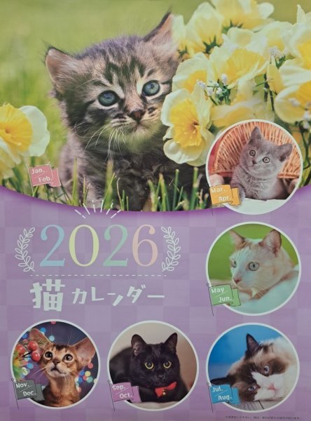 【送料無料:大判 特大 可愛い 子猫:大きい カレンダー:A2:60x42cm】★2026年:可愛い 猫★ねこ ネコ★6面★壁掛け:令和8年:No1S拍卖