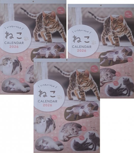【送料無料 3冊 大判 特大 可愛い 「子猫」 大きい カレンダー:A2:60x42cm】★2026年:可愛い 猫★ねこ ネコ★6面★壁掛け:No1 D拍卖