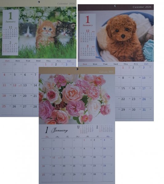 【送料無料 選べる 1冊:可愛い 「猫 or 犬 or 花」 カレンダー:A3:44x29cm】★2026年:壁掛け:子猫,ねこ,ネコ,犬,いぬ,イヌ,花柄:暦:12面拍卖