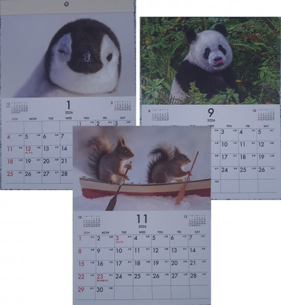【送料無料:2冊:可愛い 「動物」:カレンダー:A4:30x21cm】★2026年 アニマル:パンダ,ペンギン,猫,リス,ラッコ, さる,白熊★壁掛け:暦拍卖