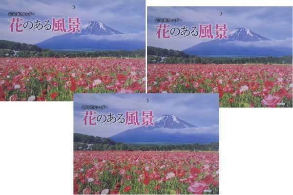 【送料無料:3冊:大判 大きい カレンダー:綺麗な 「花のある風景」 :B3:52x36㎝】★2026年:癒される 花,フラワー:壁掛け 見開き:令和8年:暦拍卖