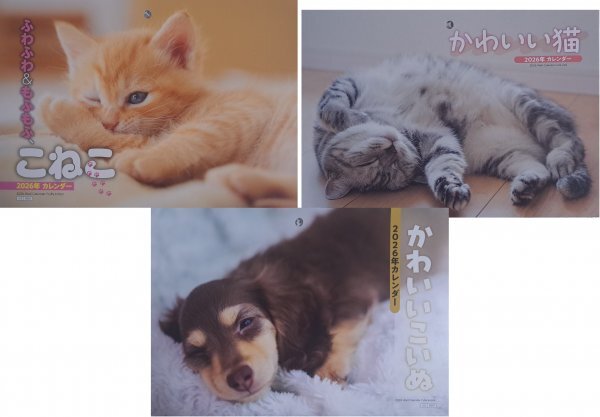 【送料無料 選べる 1冊 大判 大きい カレンダー 「子猫・子犬」 :B3:52x36㎝】★2026年:壁掛け:猫,ねこ,ネコ,犬,いぬ,イヌ,暦:見開き:6面拍卖