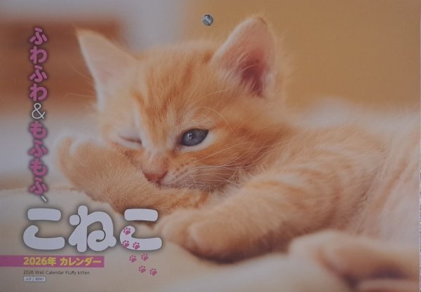 【すぐに発送:大判 大きい カレンダー:可愛い「子猫・こねこ」:B3:52x36㎝】★2026年:「猫・ネコ・ねこ」★大きな サイズ 暦:見開き:No3拍卖