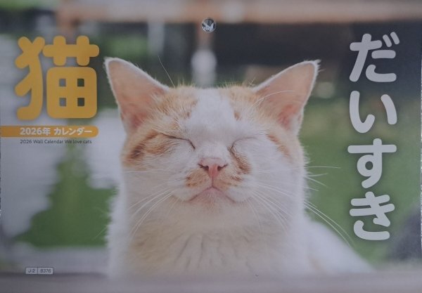 【送料無料:すぐに発送:1冊:「猫 だいすき」 カレンダー:A3:44x29cm】★2026年:子猫・壁掛け:見開き:6面★猫,猫,キャット:暦 こよみ:No1D拍卖