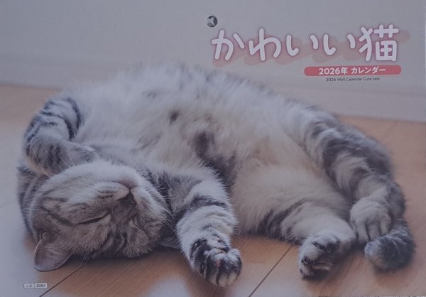 【送料無料 大判 大きい カレンダー:可愛い「かわいい こねこ」:B3:52x36㎝】★2026年:「猫・ネコ・ねこ」★大きな サイズ 暦:見開き:No4拍卖