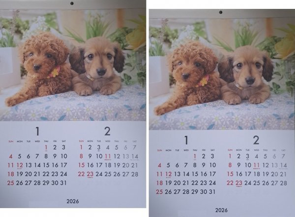 【2冊 大判:大きい カレンダー 可愛い 子犬:B3:52x36cm:送料無料】★2026年:令和8年:壁掛け★犬,仔犬,いぬ,イヌ:12か月/6面★暦:No1D拍卖