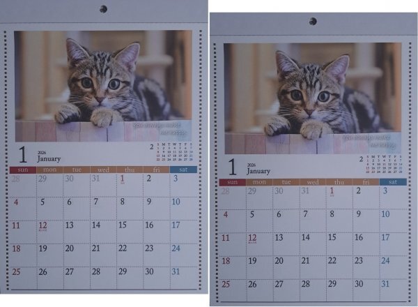 【送料無料 2冊:可愛い「子猫」カレンダー:A4 30x21cm】★2026年:壁掛け:猫 ねこ ネコ 仔猫★令和8年:暦,こよみ:12面拍卖