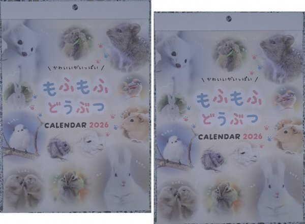 【送料無料:2冊:「もふもふ 動物」:カレンダー:A4:30x21cm】★2026年 アニマル,小鳥:シマエナガ,うさぎ,リス,アルパカ,モモンガ★壁掛け:暦拍卖
