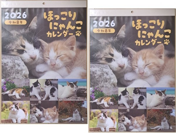 【送料無料 2冊:可愛い ほっこり猫 「子猫」カレンダー:A3:44x29cm】★2026年:猫,ねこ,ネコ,キャット:壁掛け,6面★暦:No2D拍卖