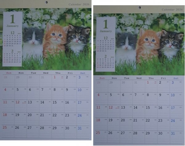 【送料無料 2冊:可愛い 「猫」 カレンダー:A3:44x29cm】★2026年:壁掛け:子猫・ねこ・ネコ・暦 こよみ:12面拍卖