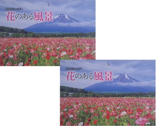 【送料無料:2冊:大判 大きい カレンダー:綺麗な 「花のある風景」 :B3:52x36㎝】★2026年:癒される 花,フラワー:壁掛け 見開き:令和8年:暦拍卖