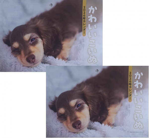 【送料無料 2冊 大判 大きい カレンダー:可愛い「かわいい こいぬ」:B3:52x36㎝】★2026年:「犬,イヌ,いぬ」★大きな サイズ 暦:見開き:No3拍卖