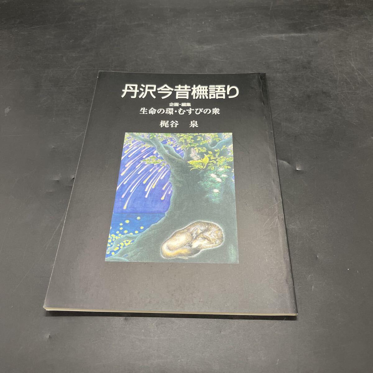 『丹沢今昔ブナ語り』生命の環・むすびの衆 梶谷泉 2008年初版 影絵夢幻語り 鈴木桜子 拍卖