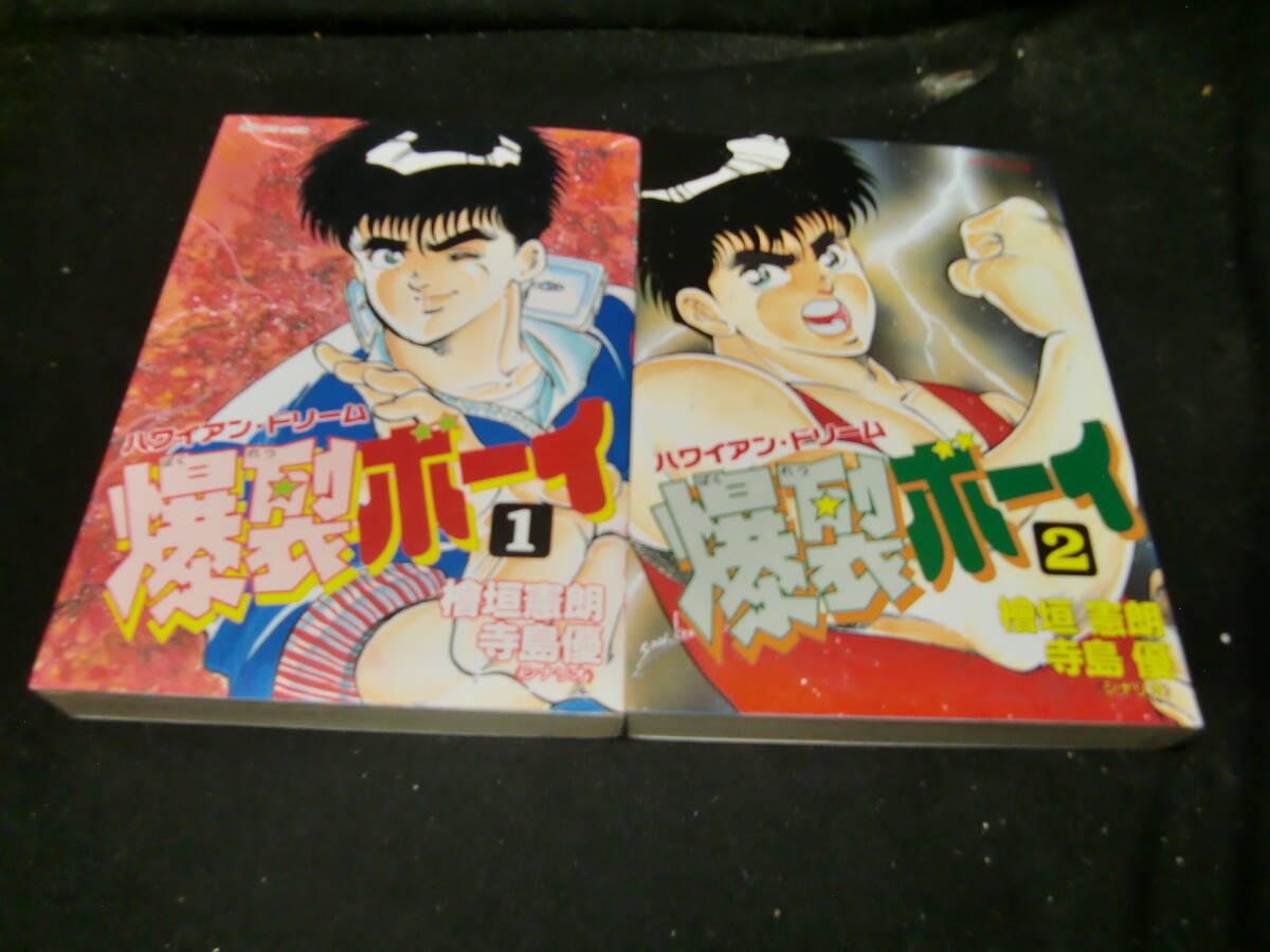 ハワイアン・ドリーム爆裂ボーイ 全2巻 寺島 優 SPコミックス 43103 背表紙が焼けて、色が薄くなっています拍卖
