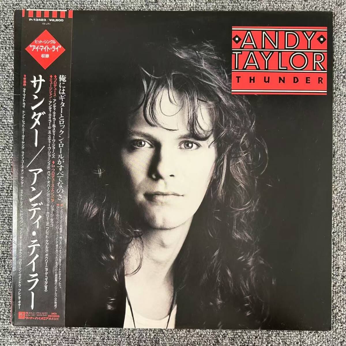 ★・美盤 はがき・帯付 Rock LPアンディ・テイラー/サンダー VINYL P-13423 Andy Taylor デュラン・デュラン Duran Duran/DNQ080725拍卖