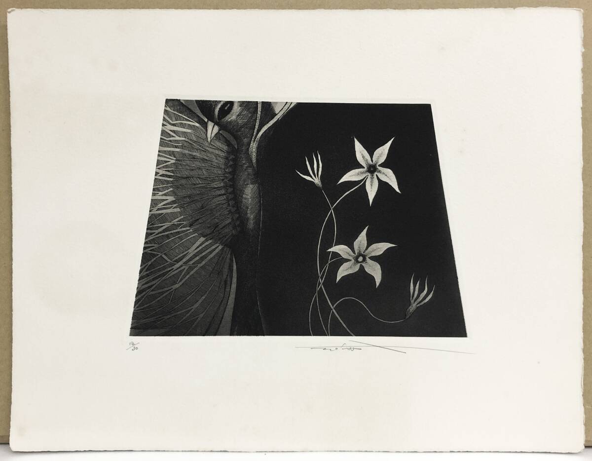 渡辺達正『鳥と白い花』銅版画 ed.14/30. 鉛筆サイン シートのみ拍卖