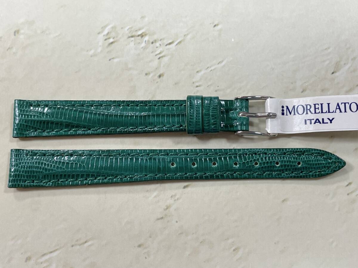 12mm Green MORELLATO テジュ リザード VOLTERRA*2拍卖