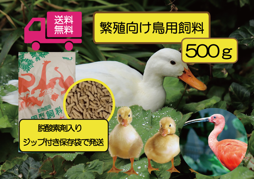 ☆送料無料 少量お試し用【アヒル・コールダック用繁殖、ヒナ向け飼料】500g 水鳥全般、トキ用として拍卖