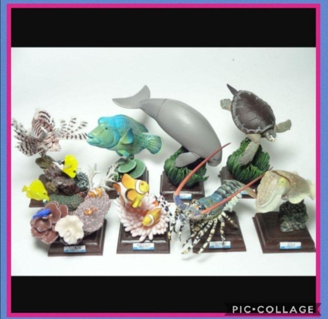 美品 ネイチャーテクニカラー 立体コレクション3 初版 全8種 コブシメ メガネモチノウオ ニシキエビ サンゴ礁の海 鳥羽水族館 フィギュア拍卖