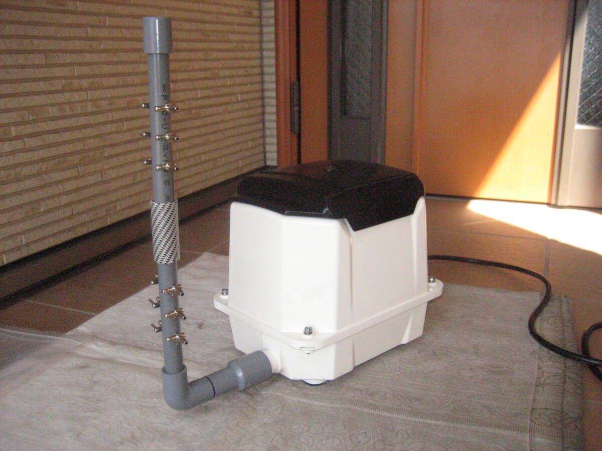 【強力//250L(大晃)TIP-250】795 分解掃除済み 12分岐管付 ダイアフラム エアポンプ ブロワー 浄化槽 らんちゅう 錦鯉 メダカ 拍卖