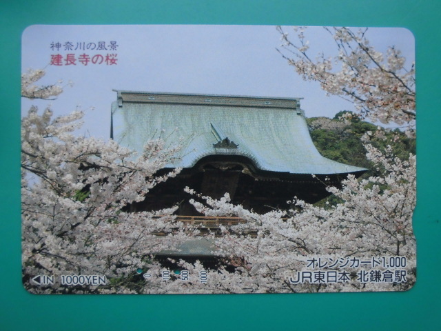 JR東 オレカ 使用済 神奈川の風景 桜 建長寺 【送料無料】拍卖