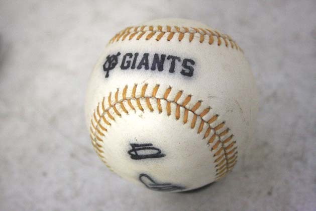 70s当時物 巨人軍サインボール 王貞治 長嶋茂雄堀内恒夫柴田勲高田繁土井正三森昌彦高橋一三末次利光原辰徳川上哲治高橋一三阪神タイガース拍卖