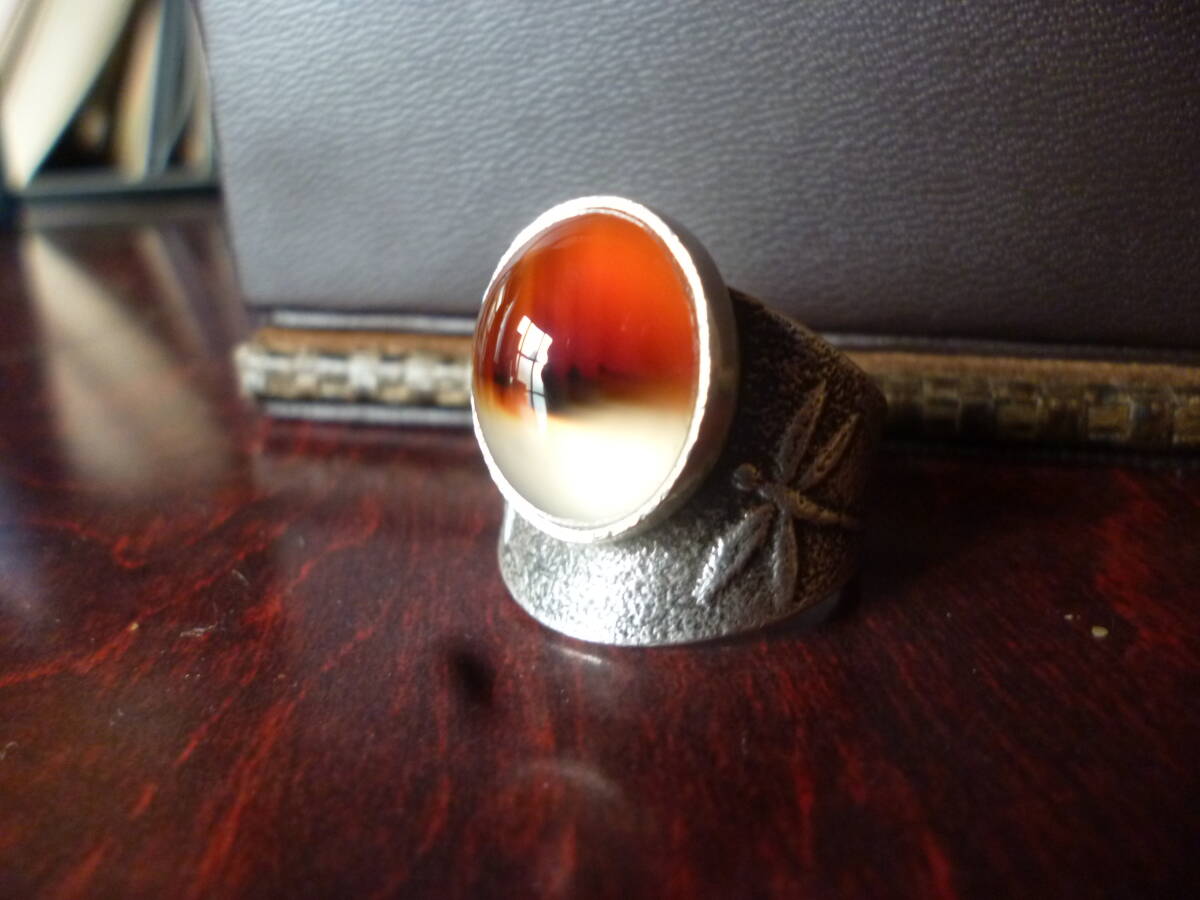 ナバホ族 ダリル・ビゲイ Darryl Dean Begay ★RedAgate stone ドラゴンフライ トンボ拍卖