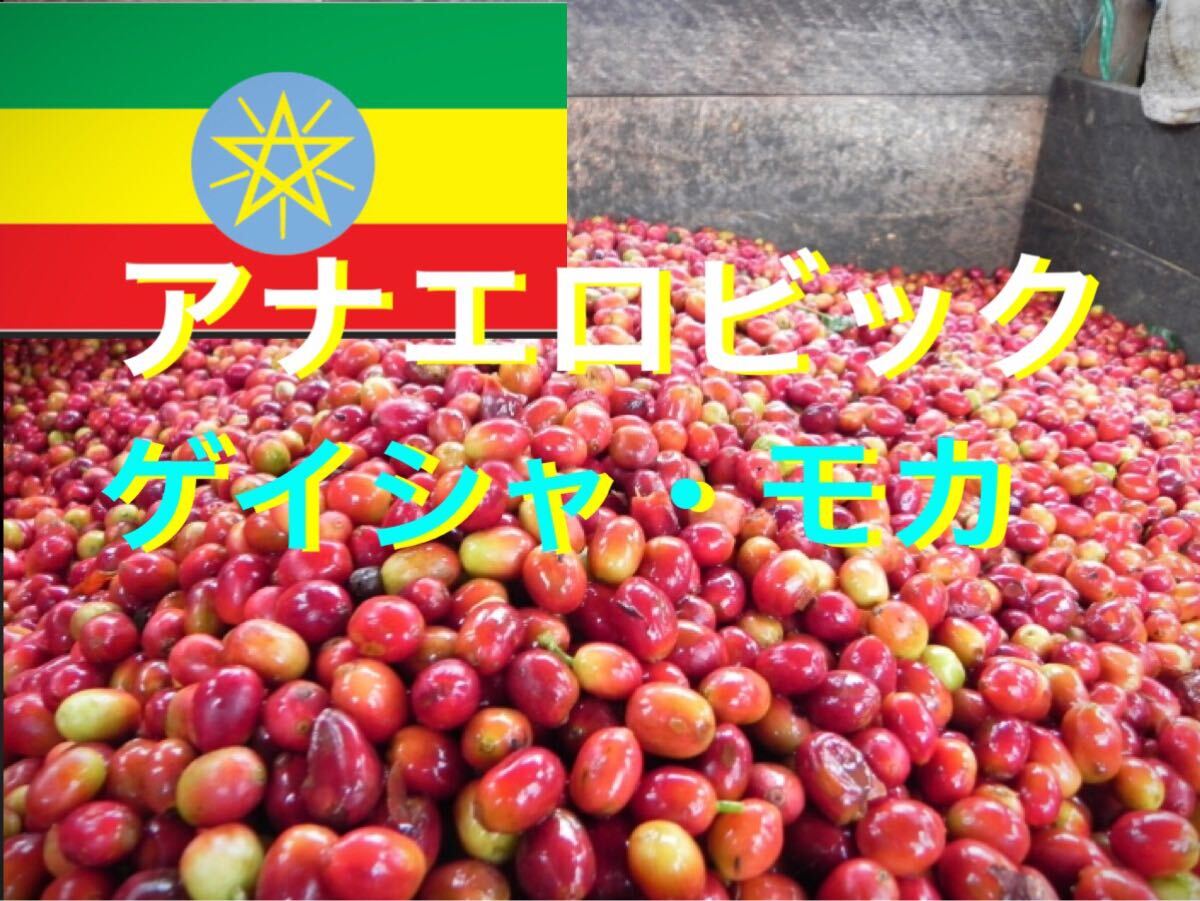 アナエロビック製法 ゴリゲイシャフォレスト ゲイシャ種G1 コーヒー生豆400g焙煎してません簡単ハンドピック済拍卖