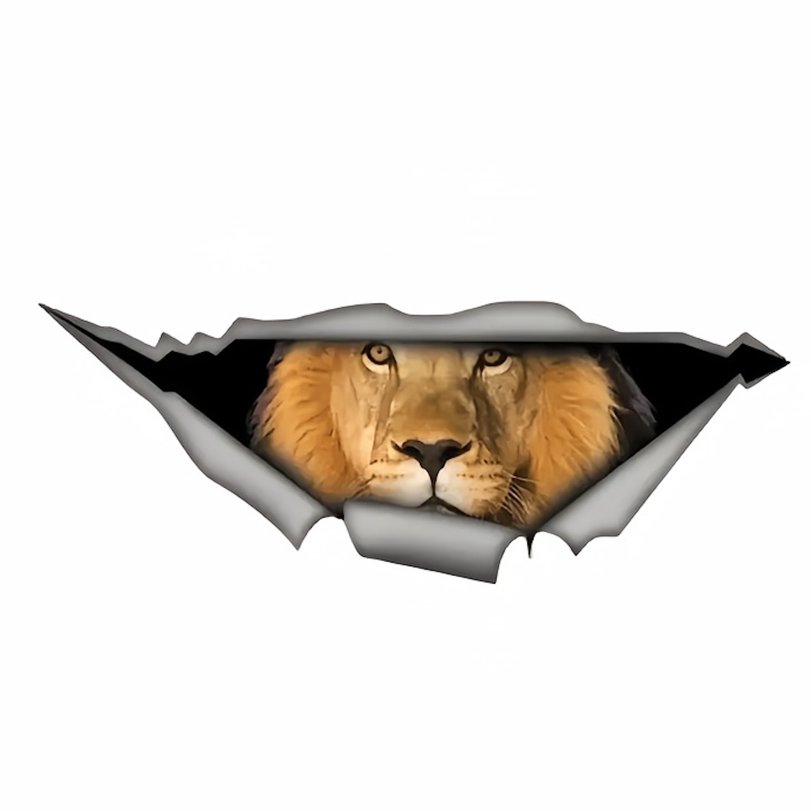 ステッカー 壁穴から覗くライオン 車用 シール 15cm 動物 ビニール 防水 おしゃれ 貼り付け バイク用 窓用 ノートパソコン アニマル t8118拍卖