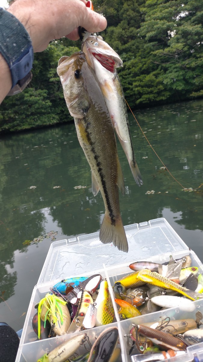 ①ジャグアトップ55新品検索1円 トラウト ダイワ シマノ B級ルアー オリムピック オールドルアー 管釣り バスポンド 拍卖