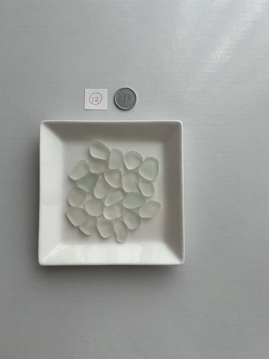 12 シーグラス拍卖