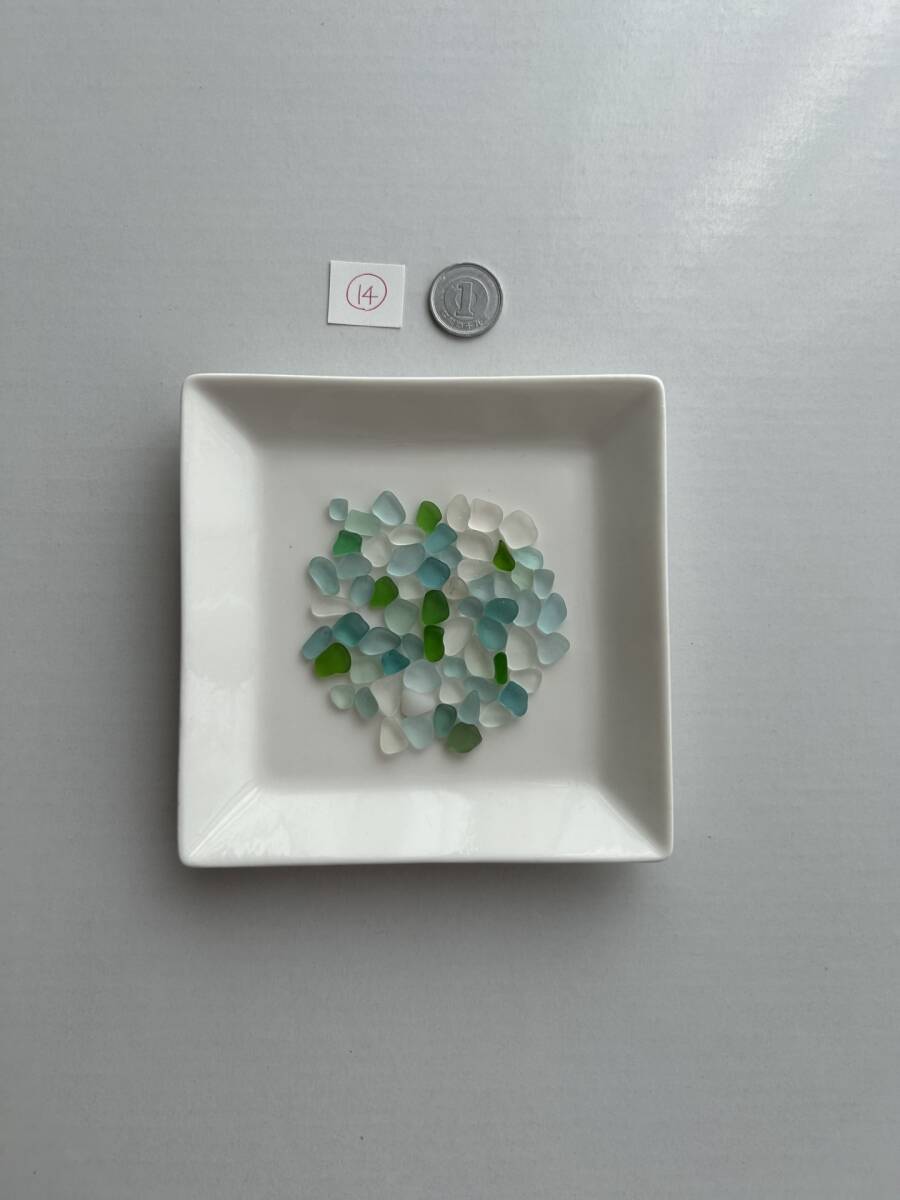 14 シーグラス拍卖